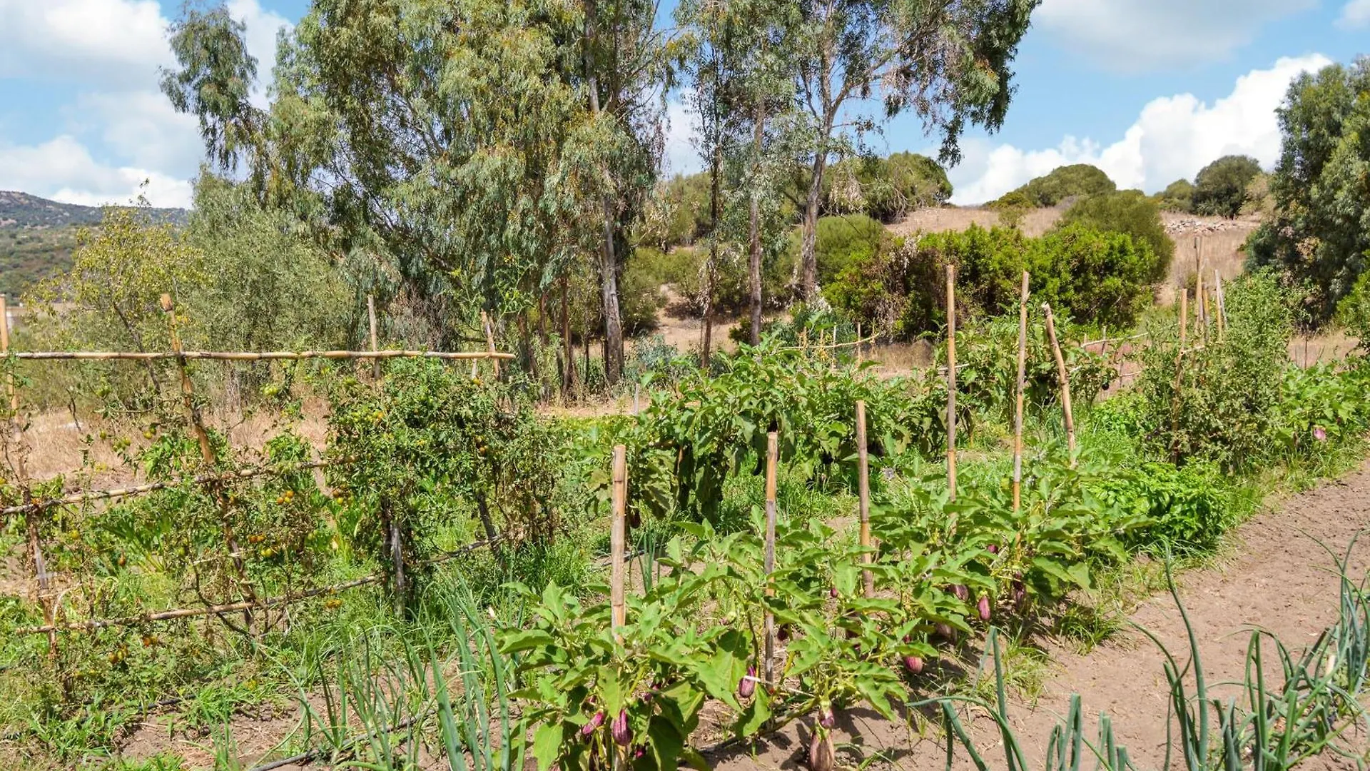 Hébergement de vacances Cozy Home In Orgosolo With Outdoor Swimming Pool